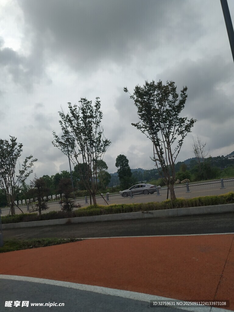 阴天的户外道路与树木