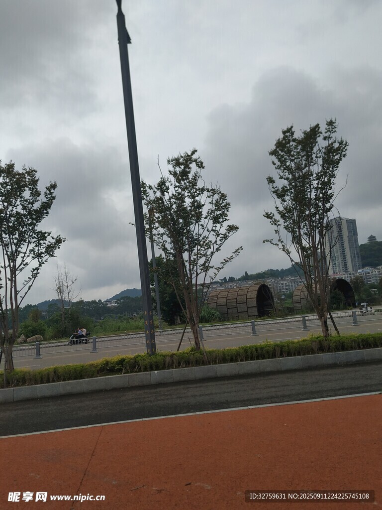 道路旁的树木与阴沉天空