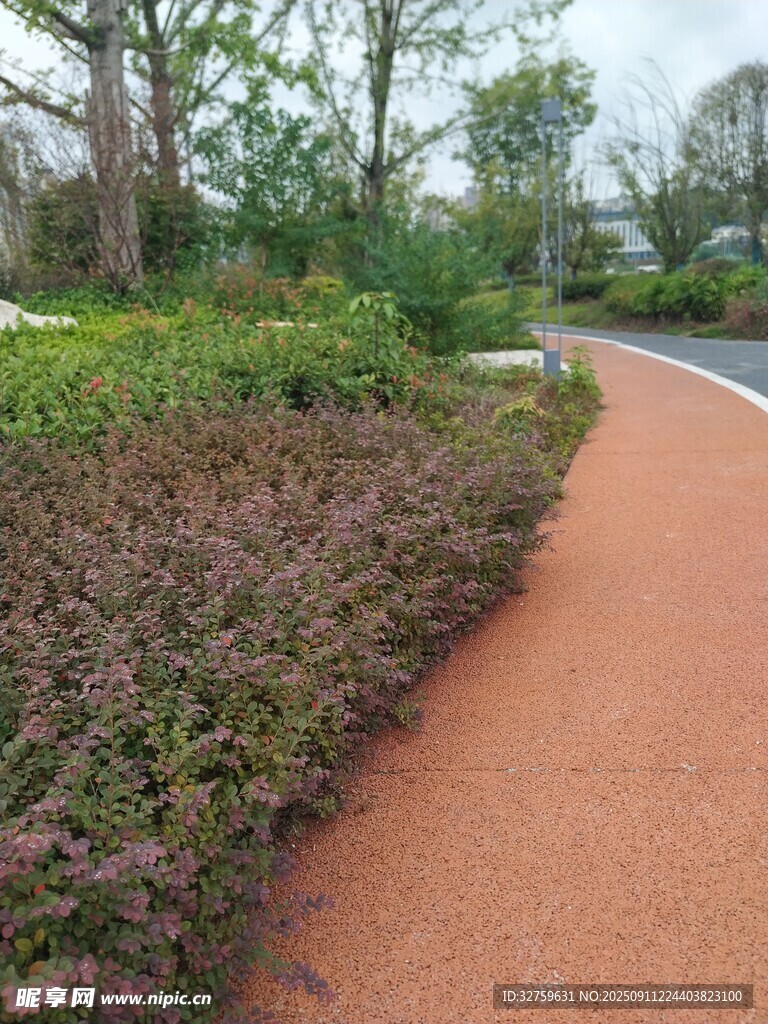 公园彩色步道与绿植景观