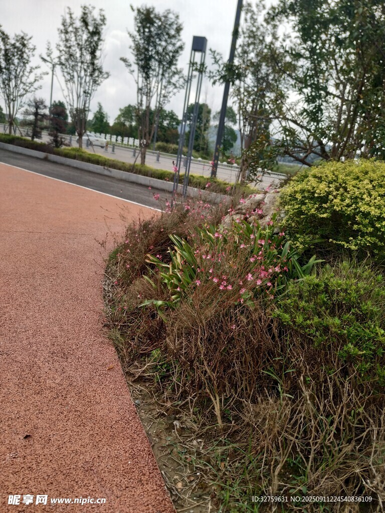 公园中的红色步道与绿植