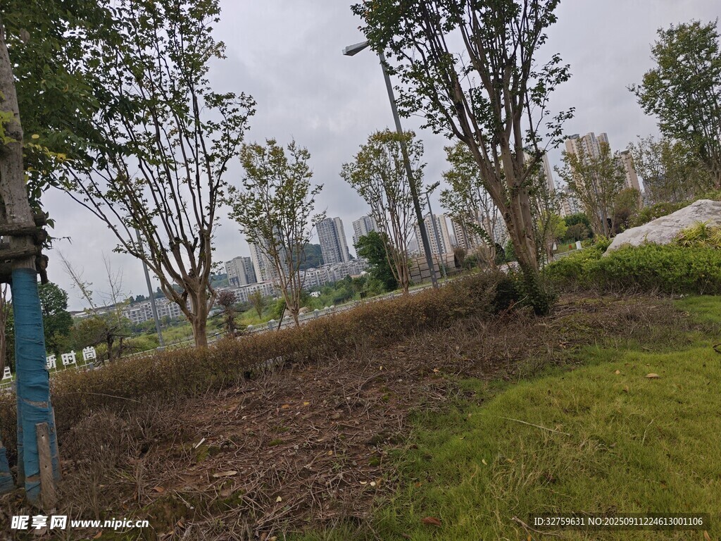 城市绿地景观