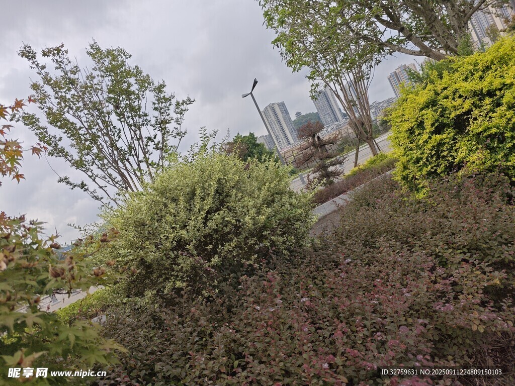 城市中的绿植景观