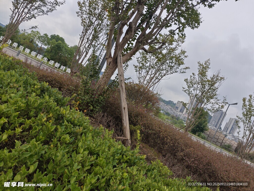 户外绿植景观