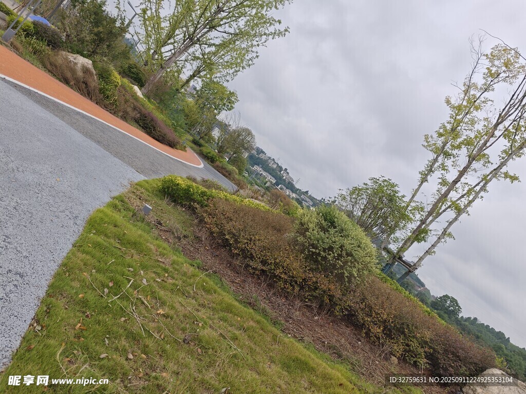 户外道路旁的绿植景观