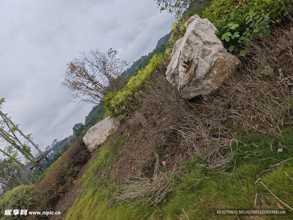 田野中的巨石