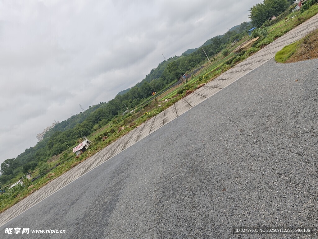 空旷公路旁的葱郁山林