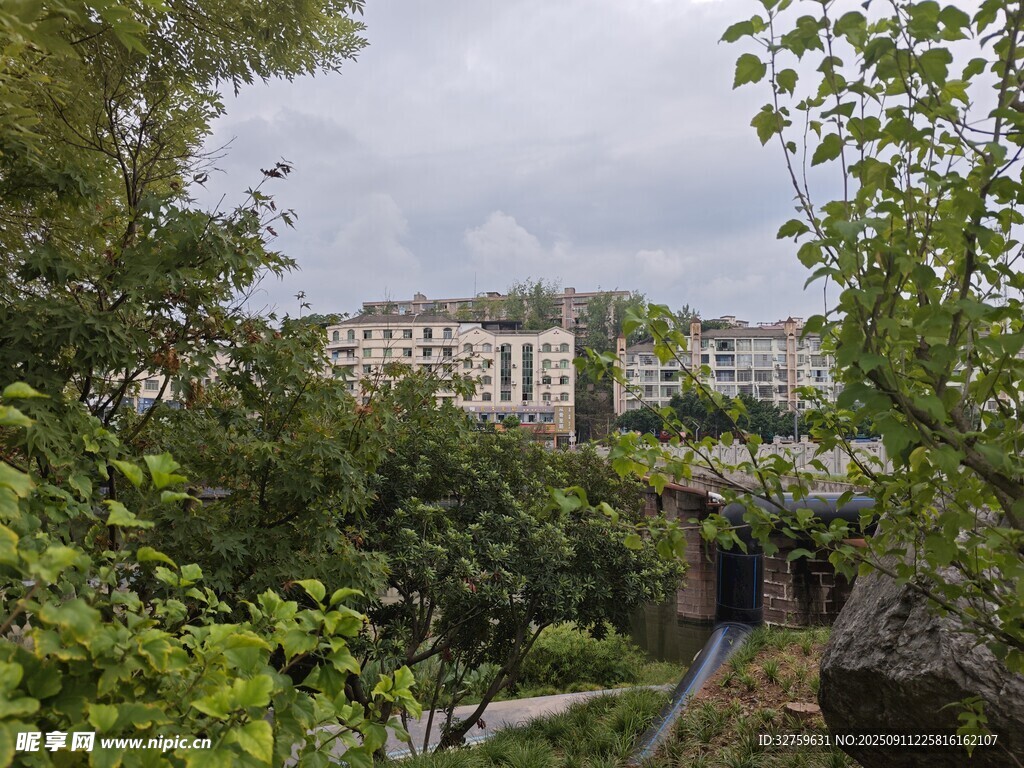 绿树环绕中的城市建筑