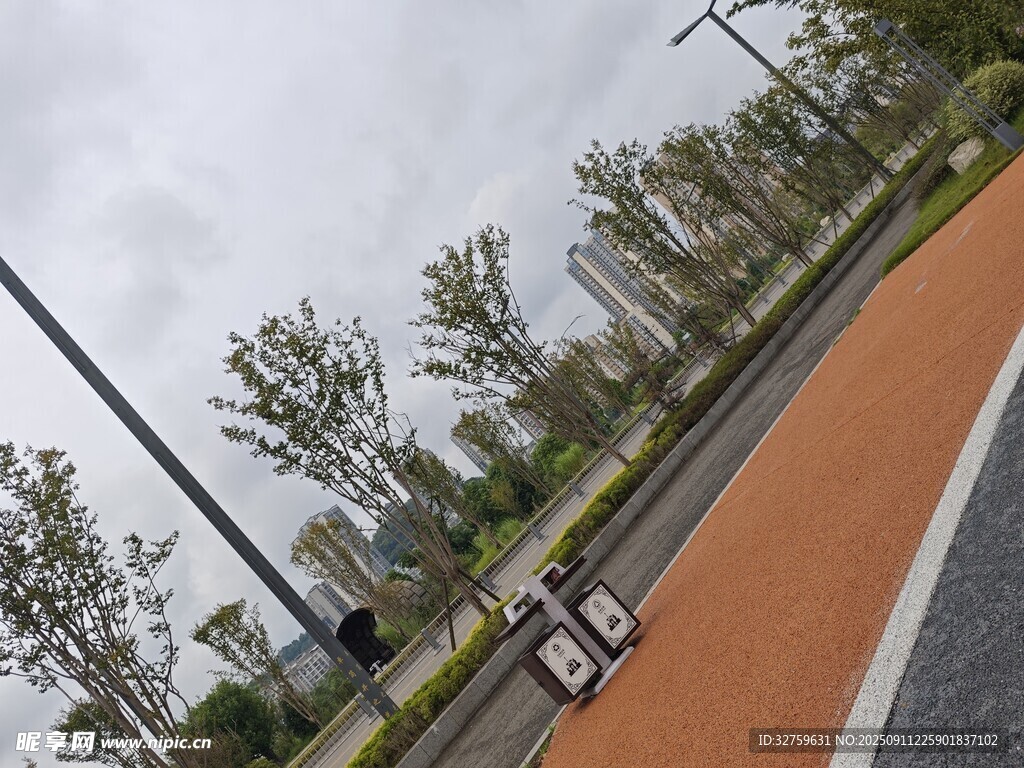 城市骑行道旁的绿树景观