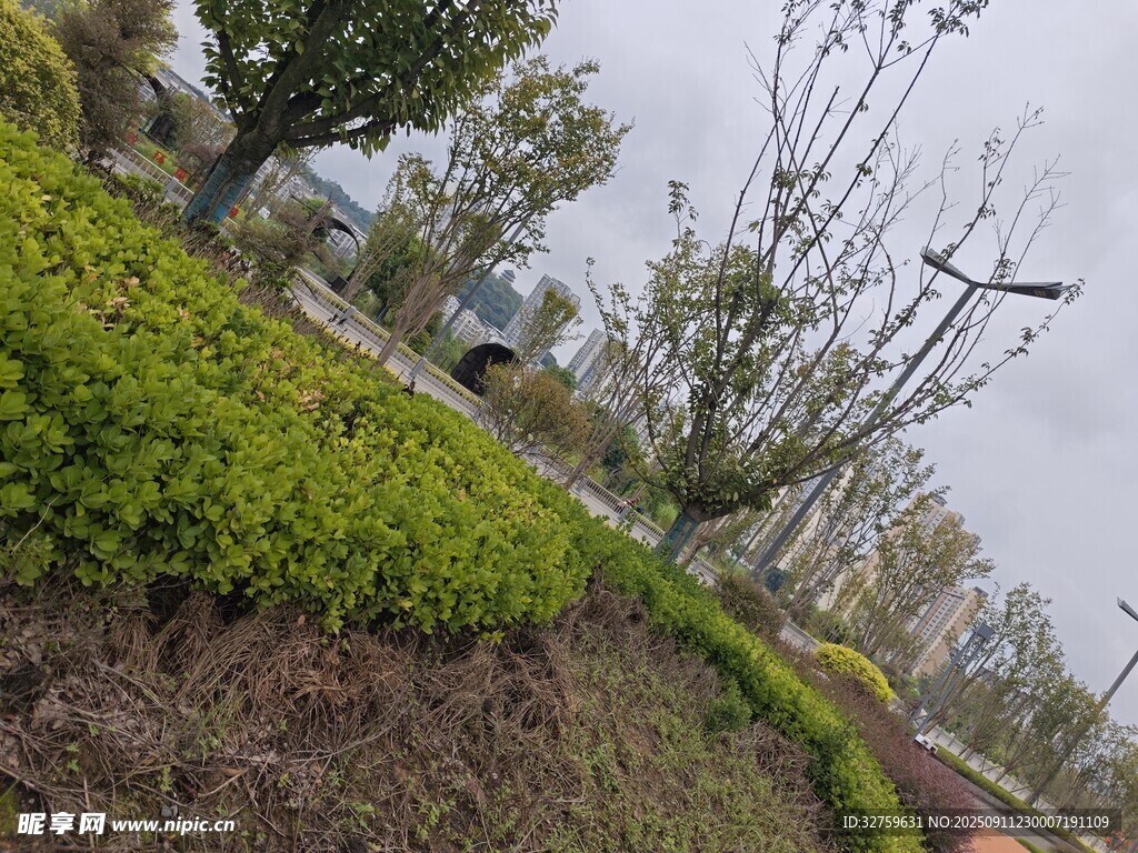 户外绿植景观一角