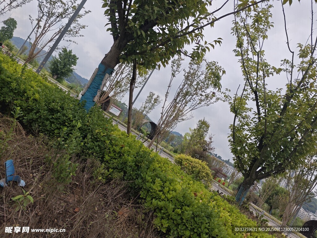 户外绿植景观