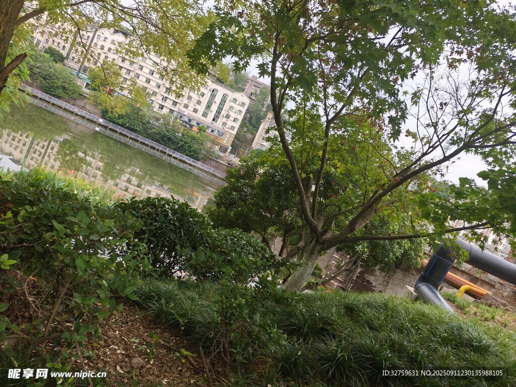 城市中的静谧绿植景观