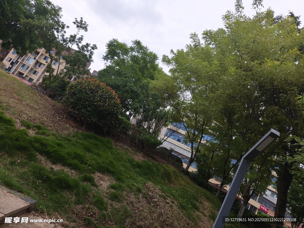 户外绿树环绕的休闲场景