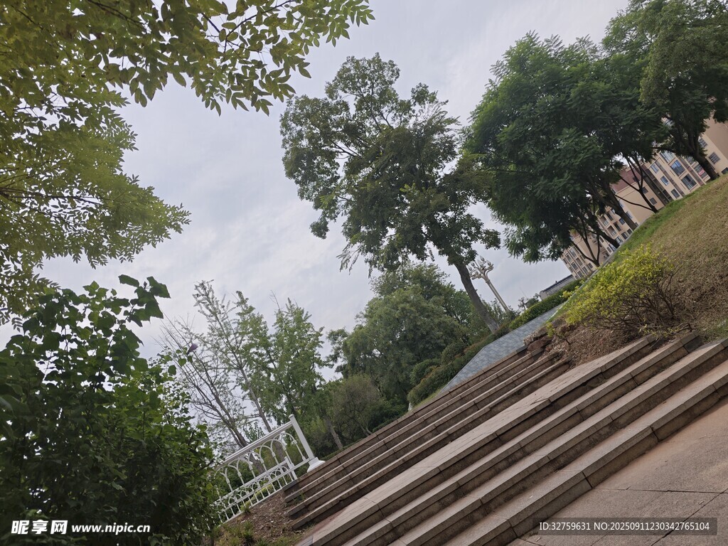 户外阶梯旁的绿树景观