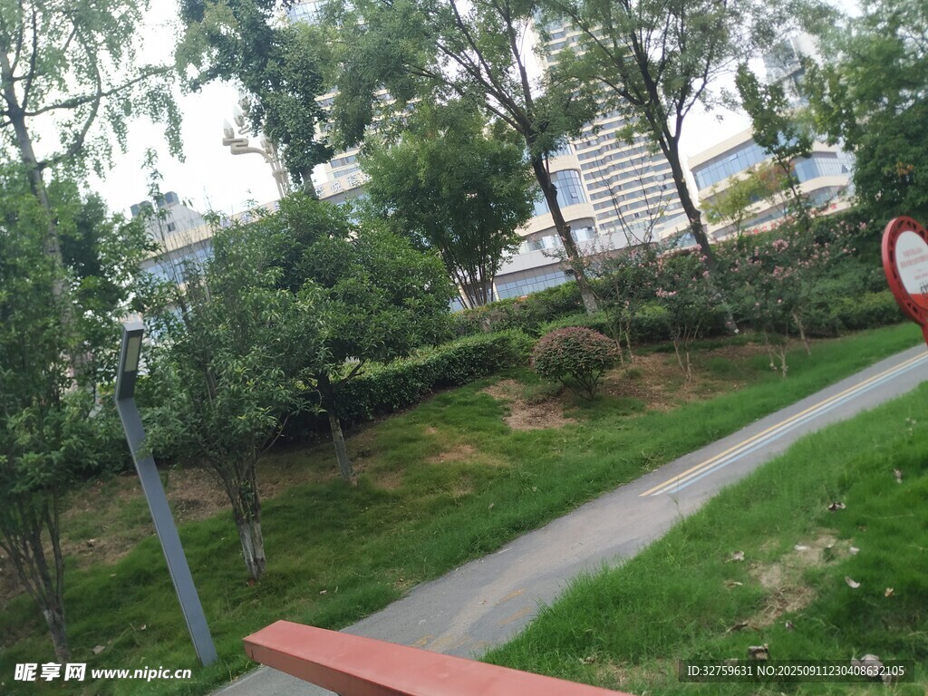 公园小径旁的绿植景观