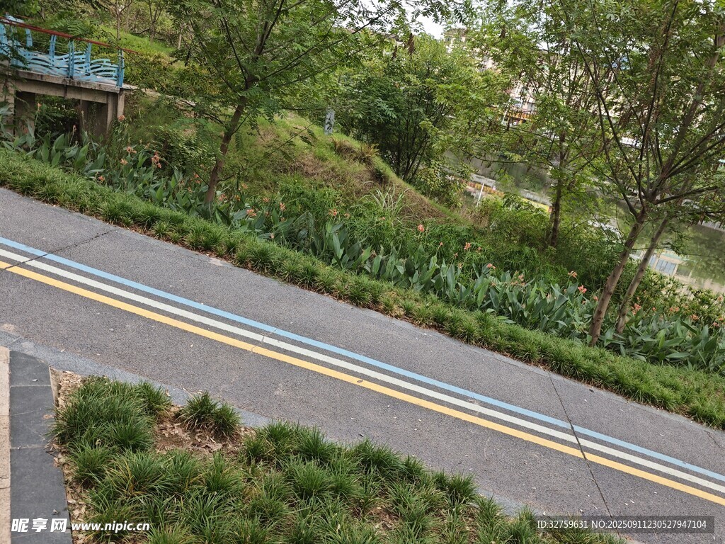蜿蜒林间公路