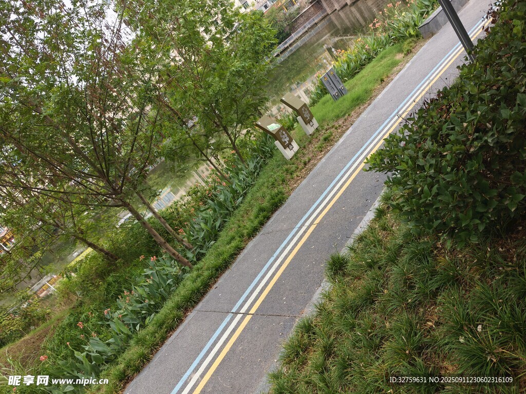城市林间的静谧骑行道路