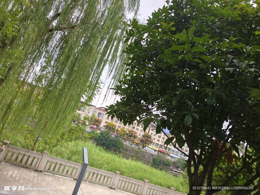 公园绿意景致