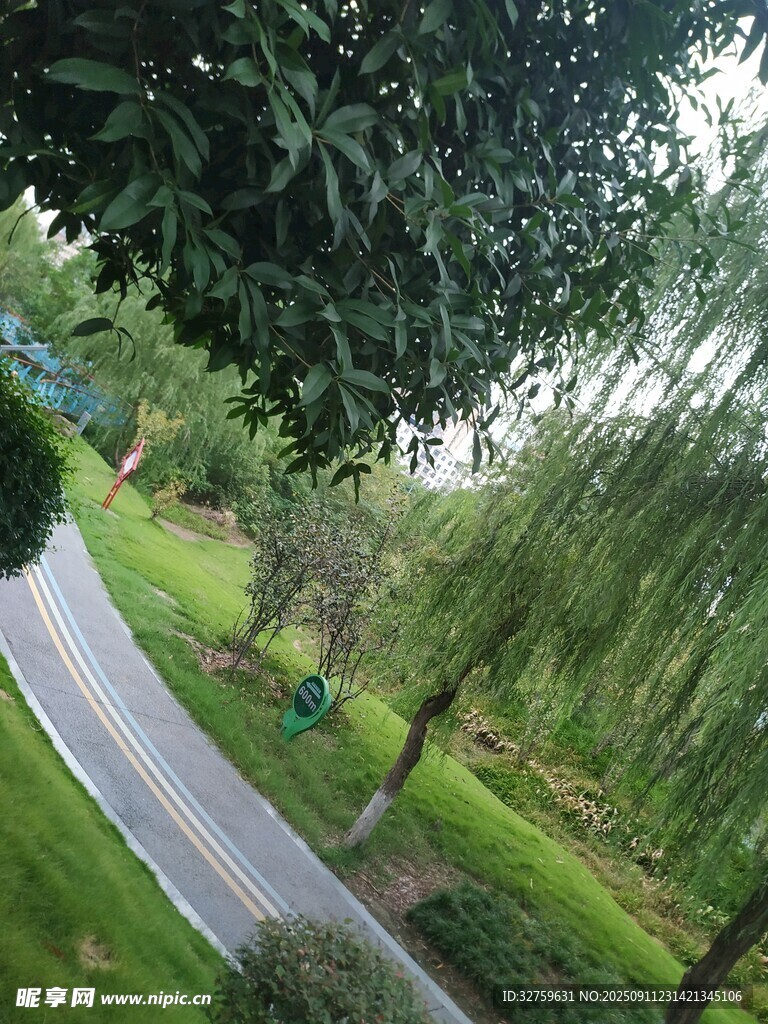 蜿蜒小路旁的绿意景致