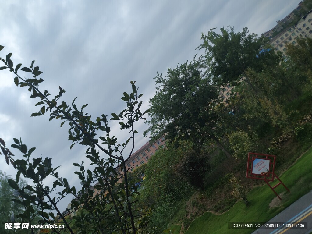 户外绿植与道路景观