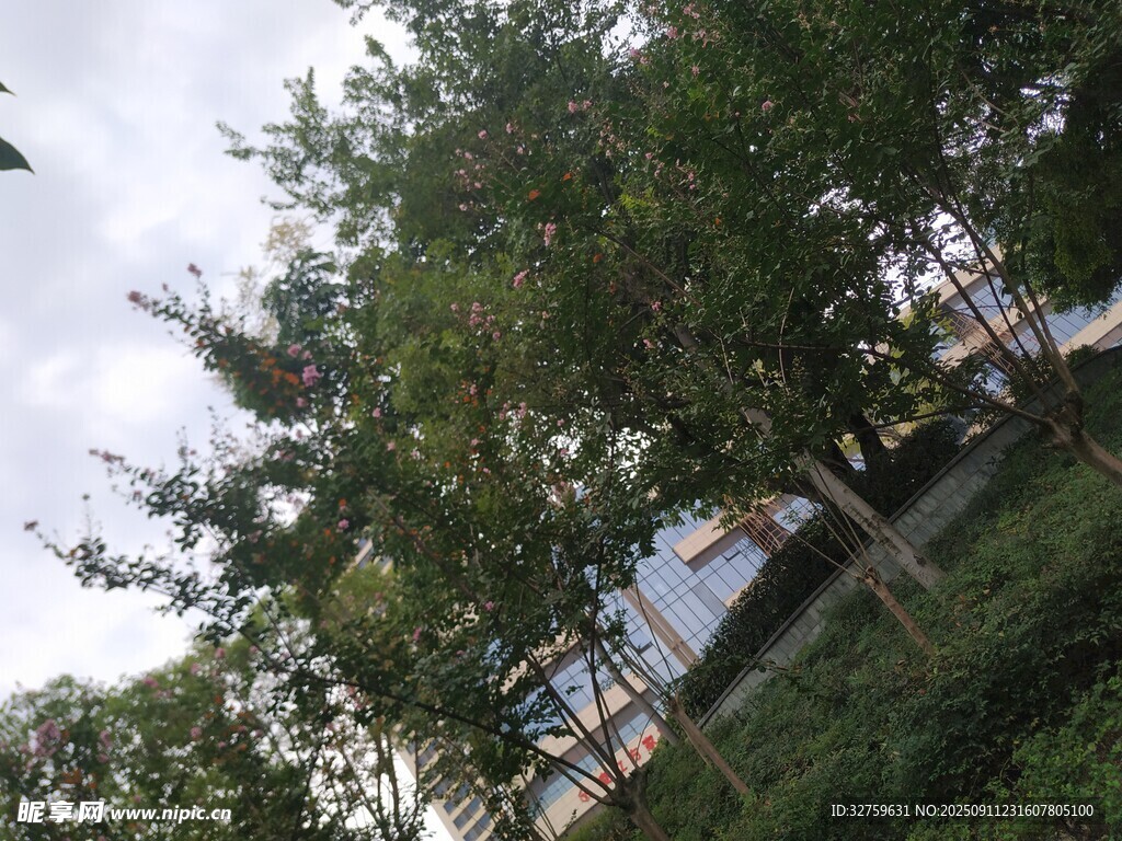 绿树环绕的乡村景致