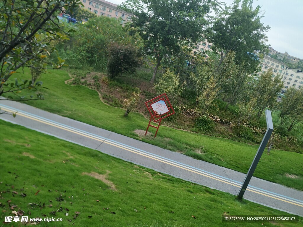公园道路旁的绿植与标识牌