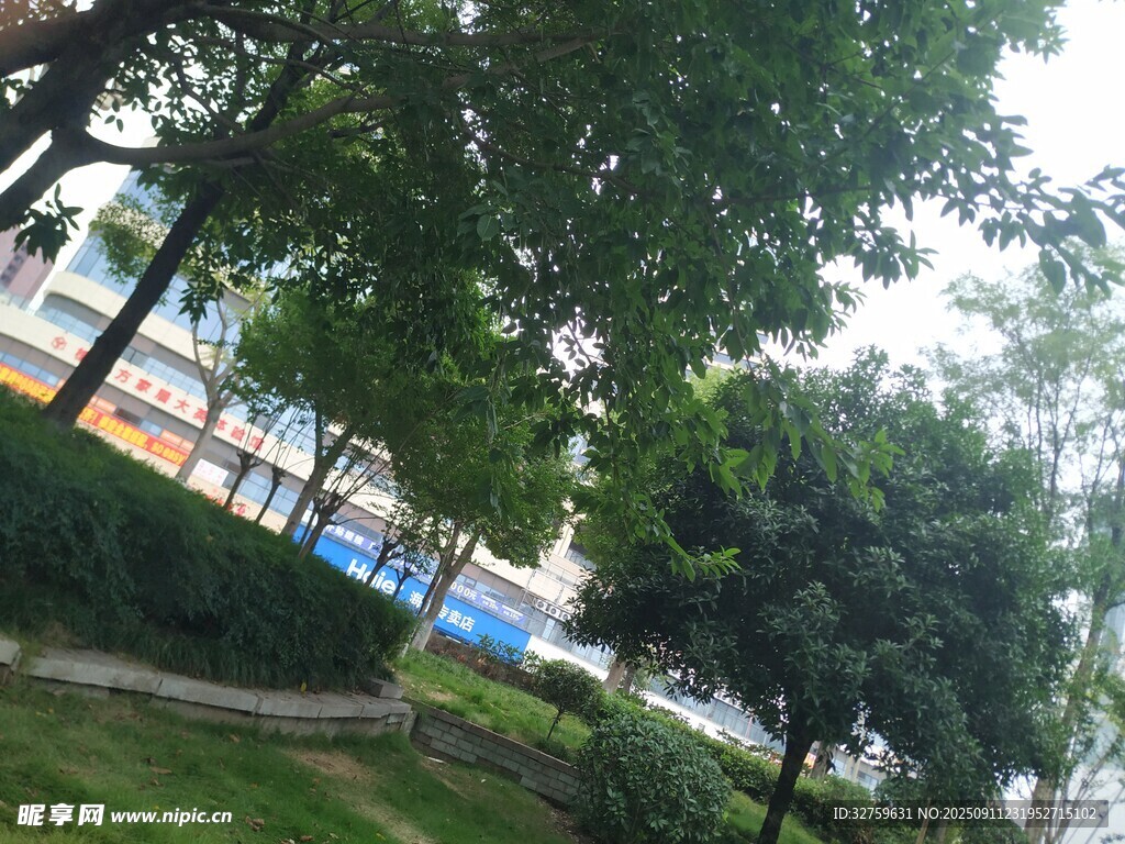 校园绿树环绕景色宜人