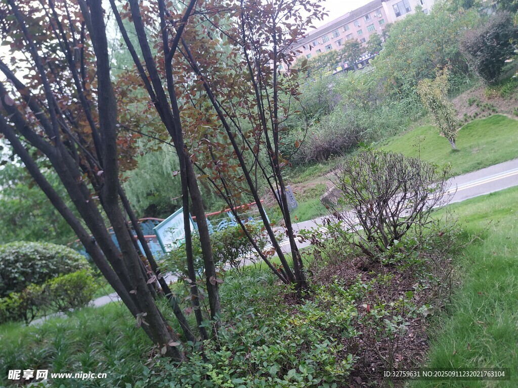户外绿植景观一角