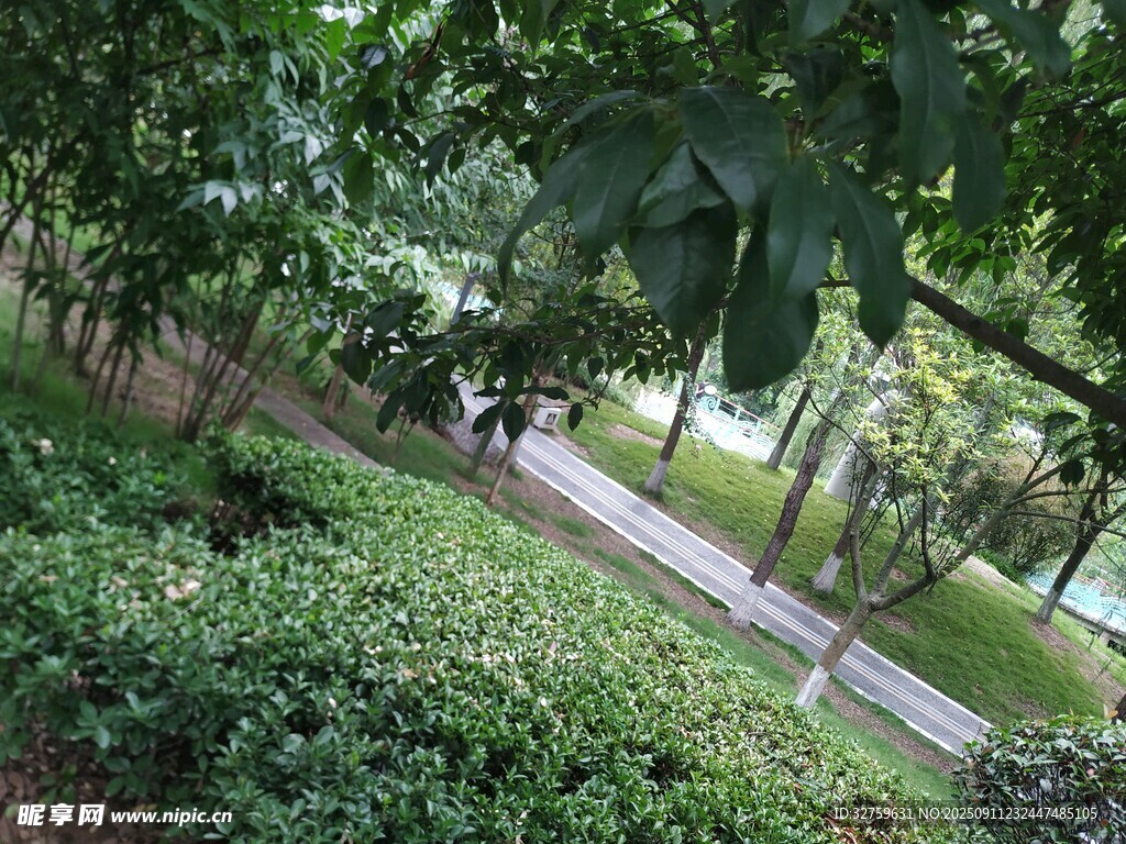 林间小道 