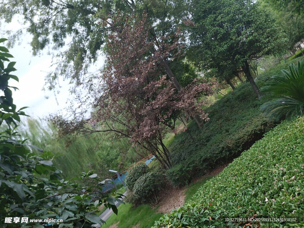 绿意盎然的园林景致