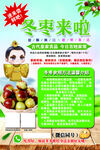 冬枣上市啦美味等你来尝