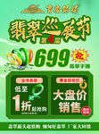 翡翠巡展节