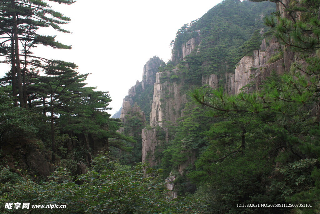 黄山山间葱郁林木与陡峭崖壁
