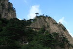 黄山峻峭山峰上的葱郁植被