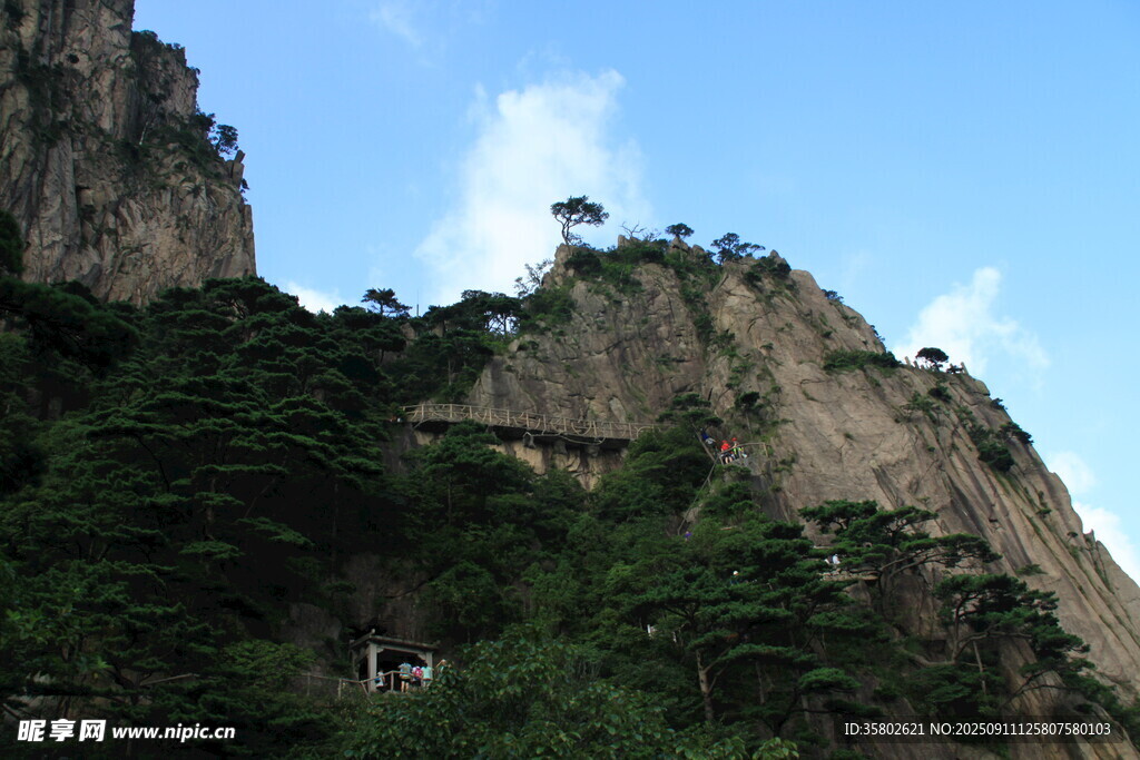 黄山峻峭山峰上的葱郁植被