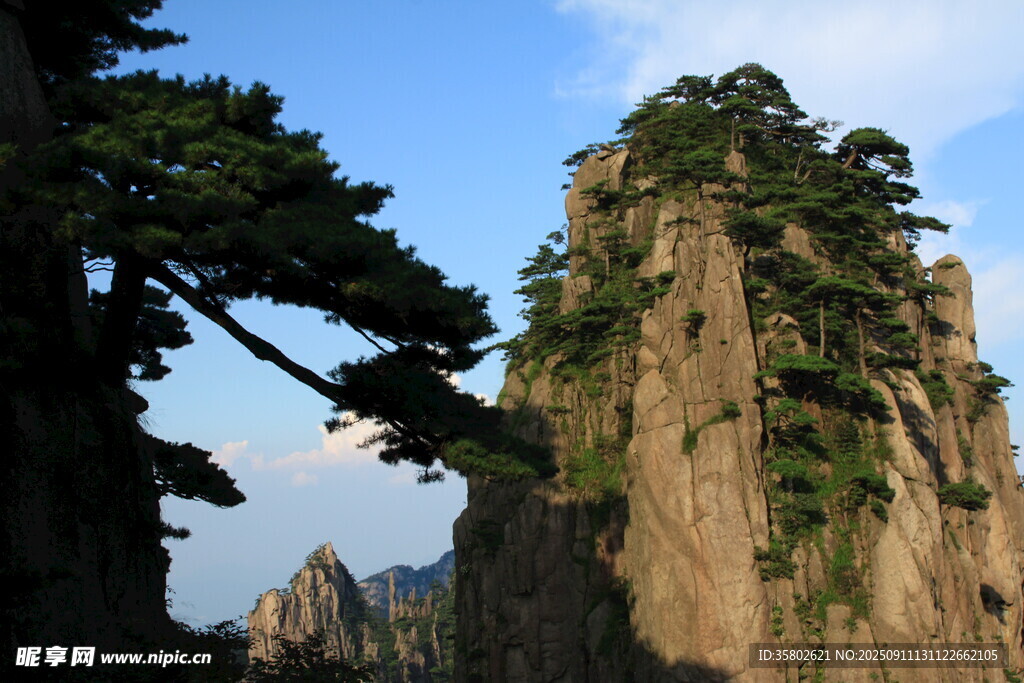 黄山奇峰与苍松景观