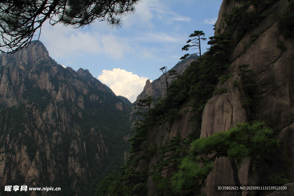 壮丽黄山奇峰景观