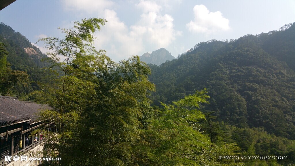 黄山山间景致绿树环绕的小屋