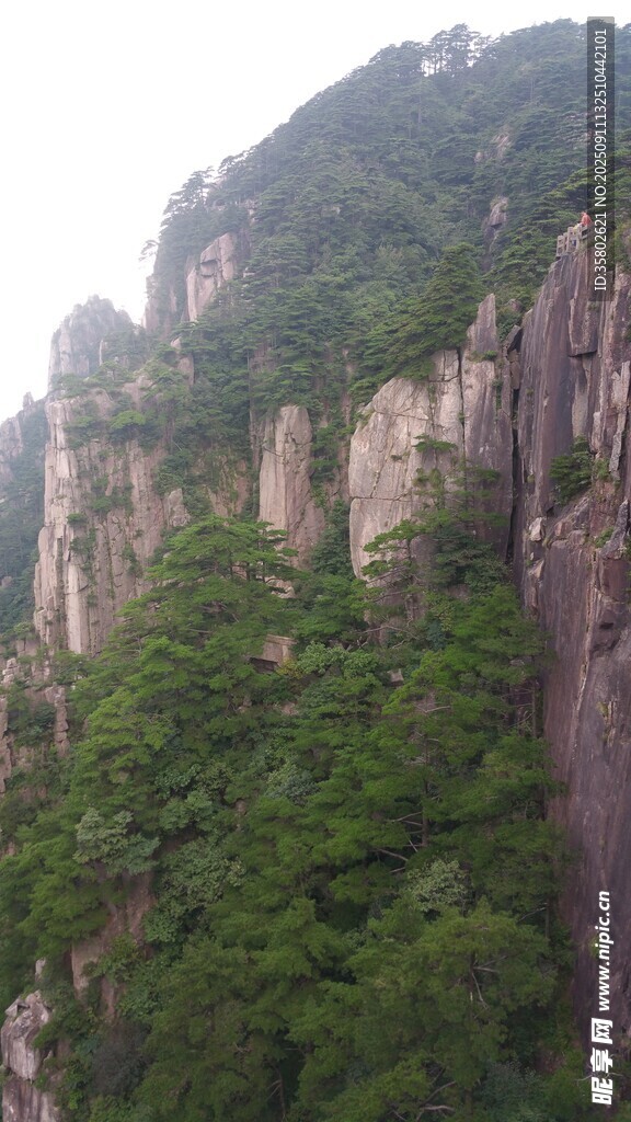 黄山峻峭山峰覆翠绿植被