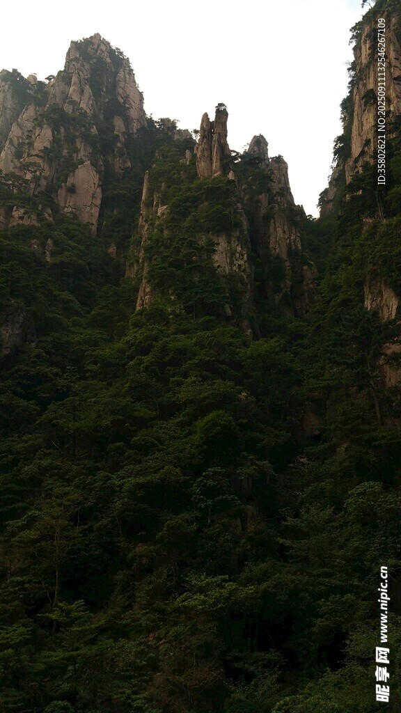 黄山奇峰林立的翠绿山峦