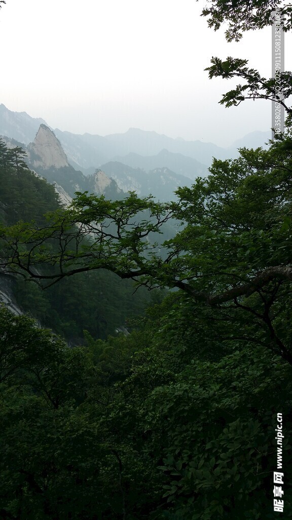 尧山山间绿意盎然的景致
