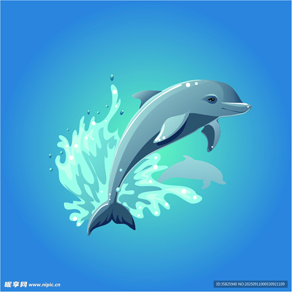 跃起的海豚