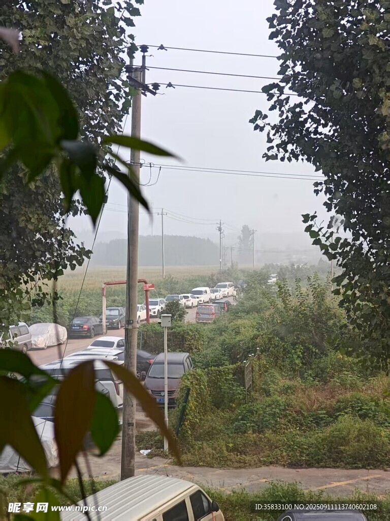 晨雾中乡村景致