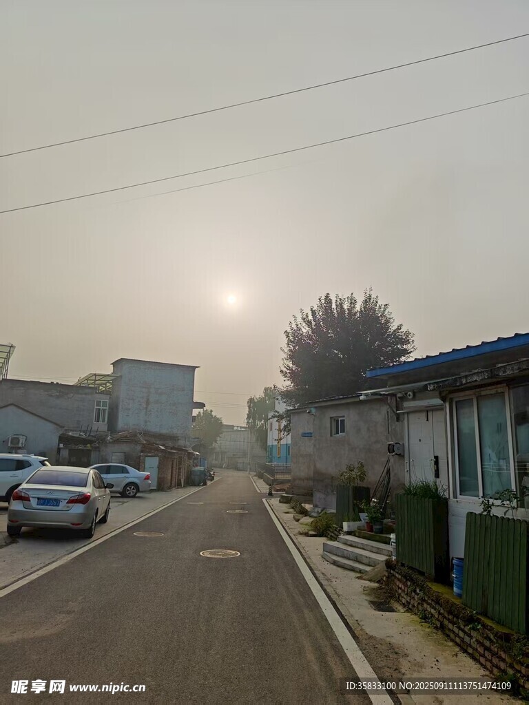 晨雾中乡村街道景象