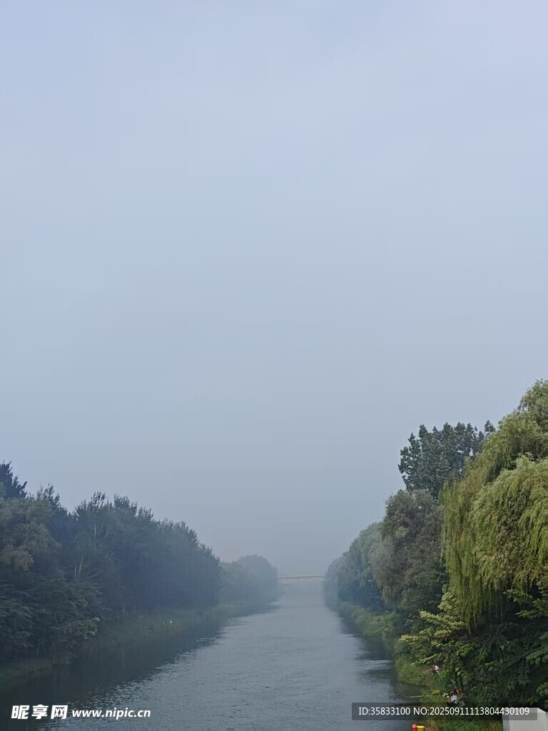 晨雾中两岸绿树的河流