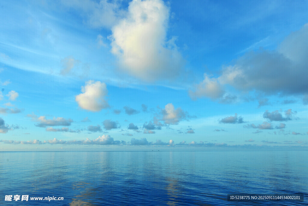 蓝天大海