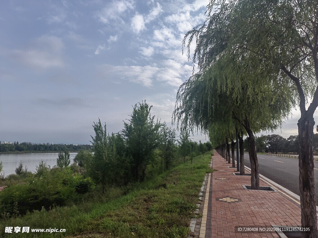 河畔林荫步道风景