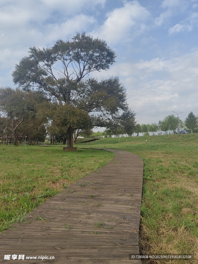 林间木栈道自然好风光