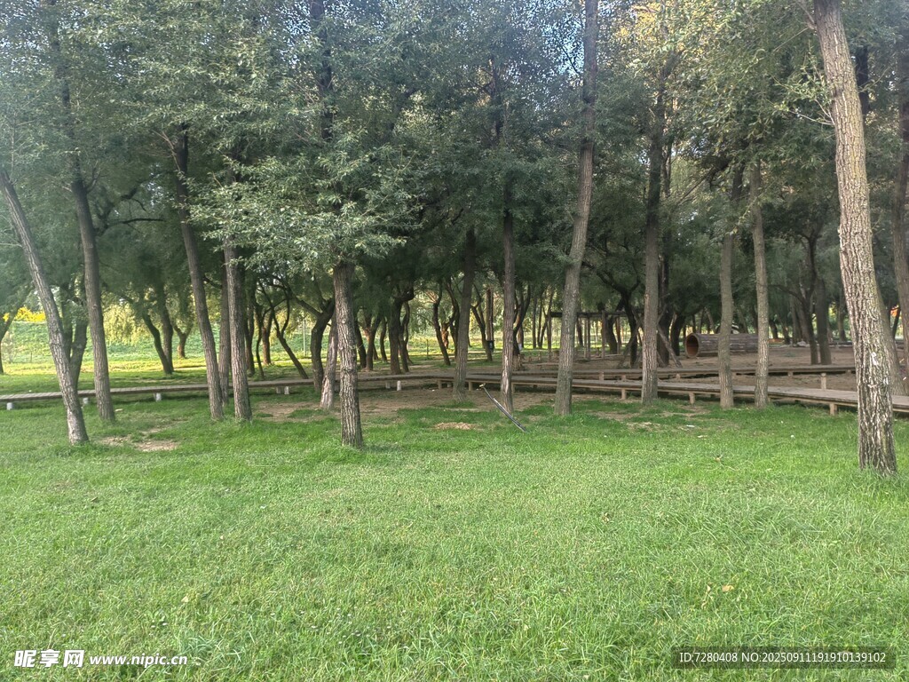 林间绿地清新自然景致