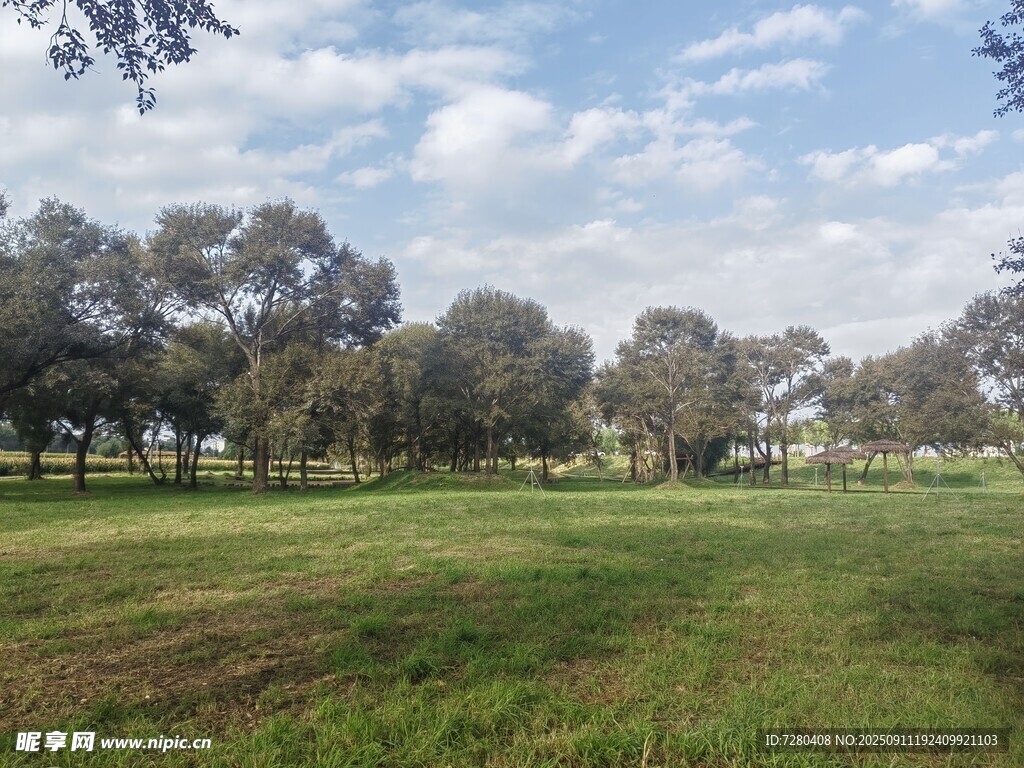 开阔草地与远处树林景观