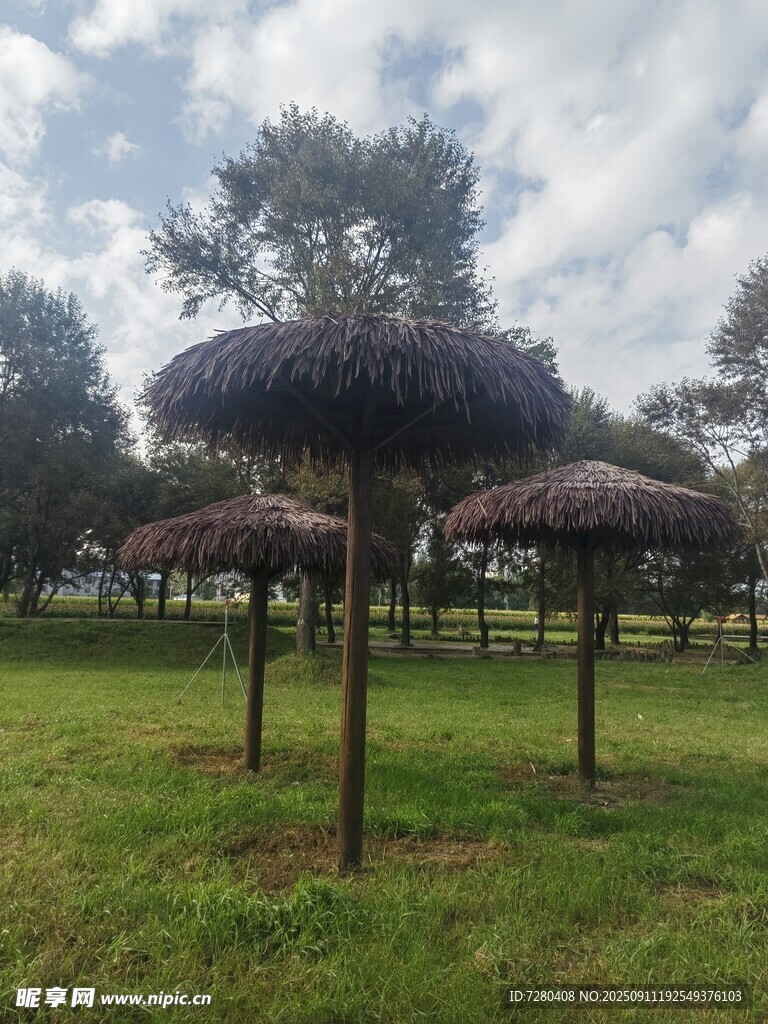 户外草地茅草顶休闲设施